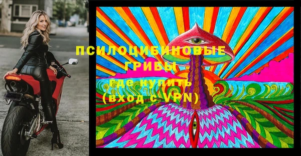 PSILOCYBIN Волоколамск