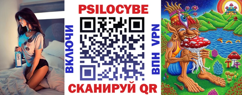 Псилоцибиновые грибы Psilocybe  Купить  Суздаль 